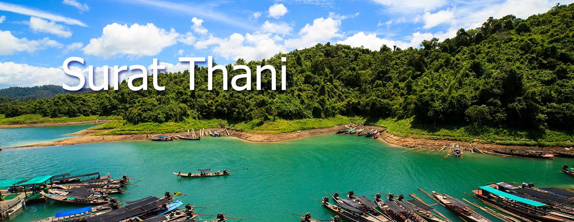 Best Time To Go Surat Thani